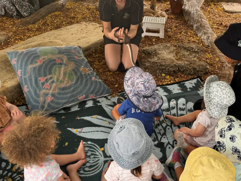 Toddlers watching a wildlife handler present a snake during a wildlife incursion at Little Learners childcare White Gum Valley